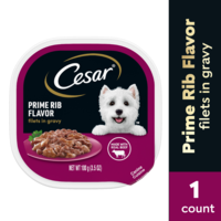 CESAR Filets in Gravy Prime Rib Flavor Adult Wet Dog Food