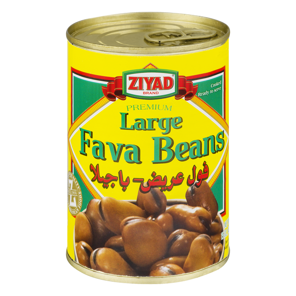 Ziyad Premium Large Fava Beans
