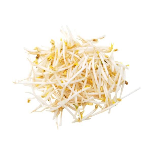 Save on Mung Bean Sprouts Order Online Delivery Food Lion