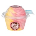 Silly Cow Soft Serve On The Go Strawberry Mango Sorbet