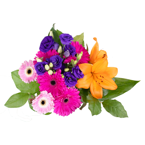 Gerbera Garden Bouquet (Colors May Vary)
