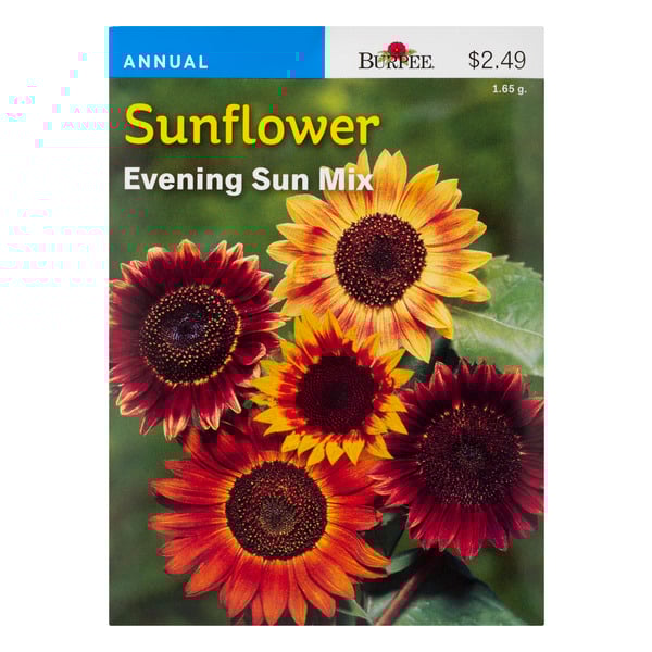Burpee Annual Sunflower Evening Sun Mix