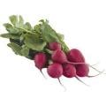 Radishes