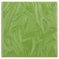 Creative Converting Celebrations Luncheon Napkins Fresh Lime 2-Ply