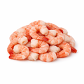 Giant Wild Caught Raw Tail-On X-Jumbo Argentine Red Shrimp 16-20 ct