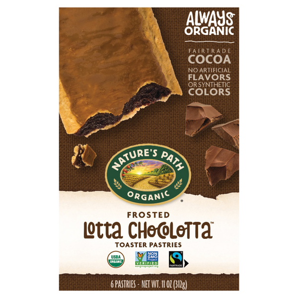 Nature's Path Organic Frosted Lotta Chocolotta Toaster Pastries - 6 ct