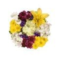 Springtime In Paris Bouquet (Colors May Vary)