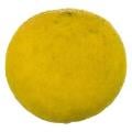 Sour Orange