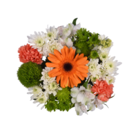 Giant Summer Blooming Attraction Bouquet (Colors May Vary)