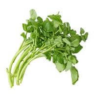 Watercress