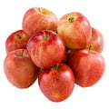 Gala Apples Bag