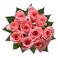 Pink Roses Bunch