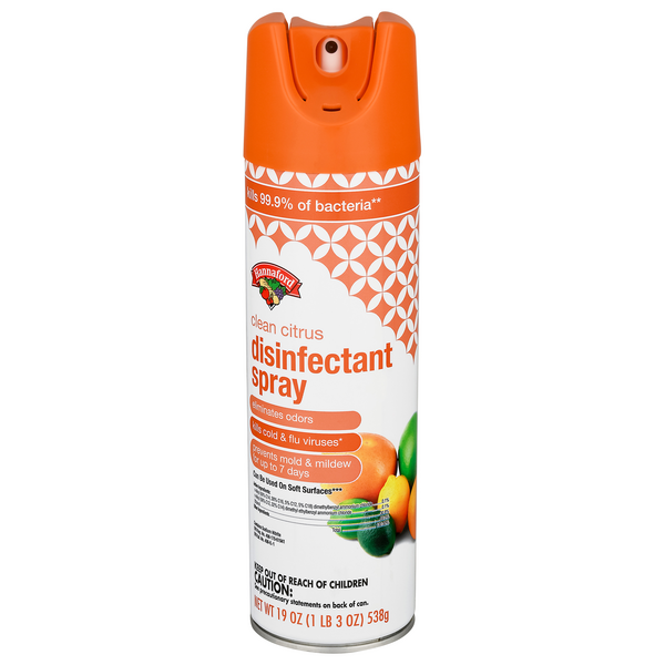 Hannaford Disinfectant Spray Clean Citrus
