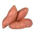Sweet Potatoes Bag