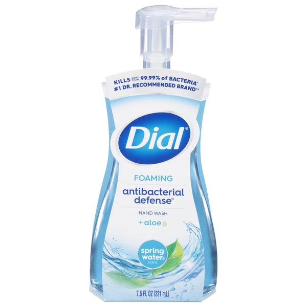 Dial Complete Foaming Antibacterial Hand Wash Spring Water Pump