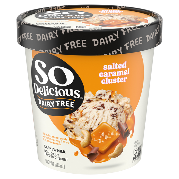 So Delicious Dairy Free Salted Caramel Cluster Cashewmilk Frozen Dessert