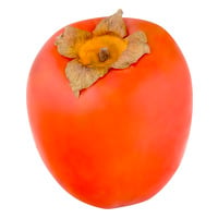 American Persimmon