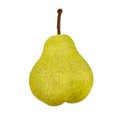Bartlett Pears