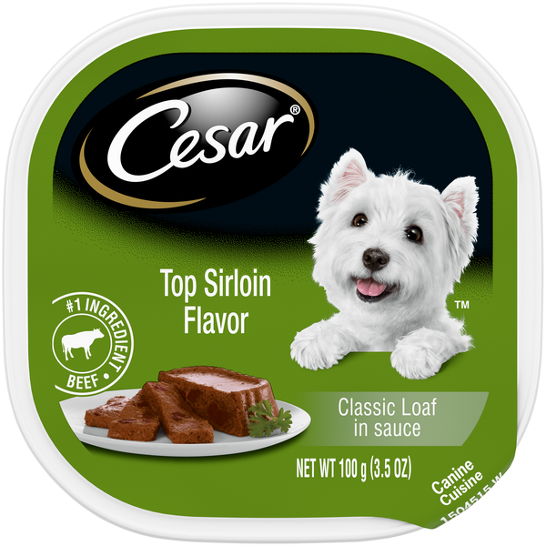CESAR Classic Loaf in Sauce Top Sirloin Flavor Adult Wet Dog Food