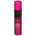Everpro Gray Away Instant Root Cover Up Dark Brown