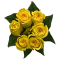Giant Yellow Roses Bunch