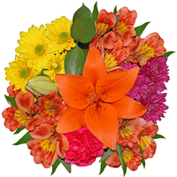 Our Brand Floral Medley Summer Bouquet (Colors May Vary)
