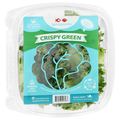 Springworks Crispy Green Lettuce