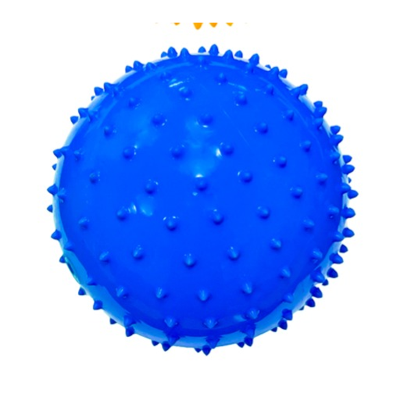 Summer 6 Inch Fun Playballs Blue