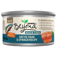 Beyond Natural Grain Free Pate Arctic Char & Spinach Wet Cat Food