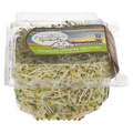 Jonathan's Organic Alfalfa Sprouts