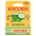 Burt's Bees Cucumber Mint Moisturizing Lip Balm