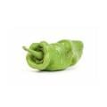 Anaheim Peppers