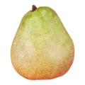 Green Comice Pears