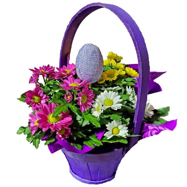 Tri-Color Mums 5 Inch