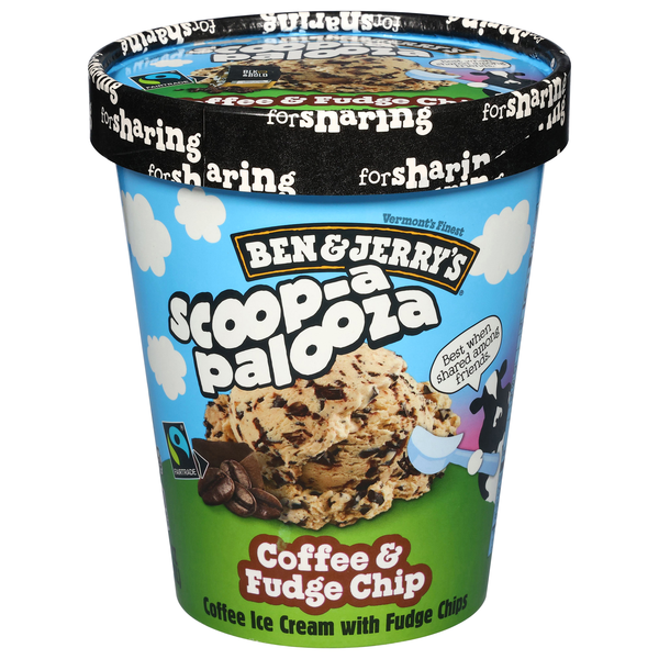 Ben & Jerry's Scoop-a-Palooza Coffee & Fudge Chip Ice Cream