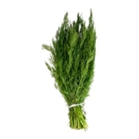 Dill Fresh