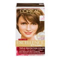 L'Oreal Excellence Creme Permanent Hair Color Light Brown 6