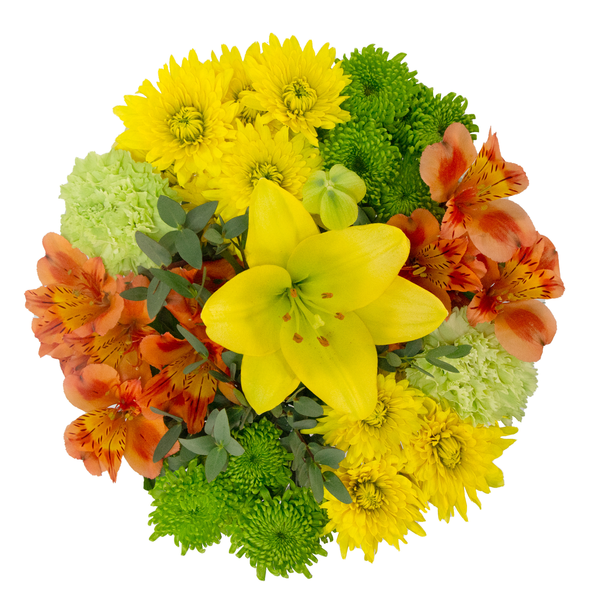 Giant Mushrooms Bouquet (Colors May Vary)