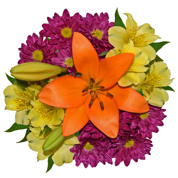 Our Brand Starter Bunch Bouquet