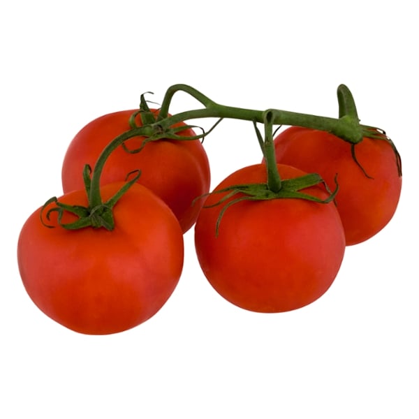 Tomatoes On The Vine
