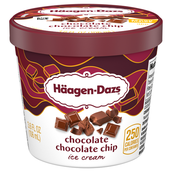 Haagen-Dazs Chocolate Chocolate Chip Ice Cream