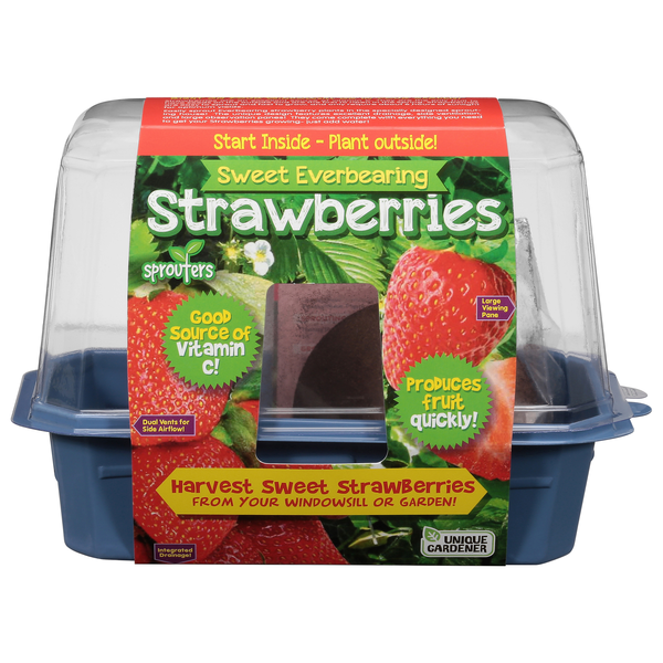 Unique Gardener Harvest Sweet Strawberries