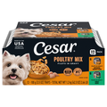 CESAR Poultry Lovers Variety Pack Adult Wet Dog Food - 12 ct