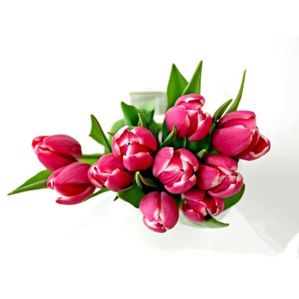 Cut Tulip Bouquet