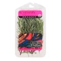 Organic Rosemary Fresh