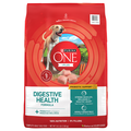 Purina ONE +Plus Digestive Health Natural Chicken Adult Dry Dog Food
