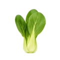 Baby Bok Choy