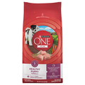 Purina ONE +Plus Healthy Puppy Formula Dry Food
