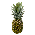 Organic Pineapple