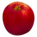 SnapDragon Apples